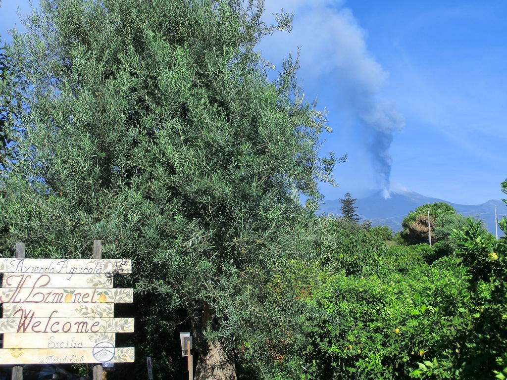 Villa Il Limoneto Acireale Extérieur photo