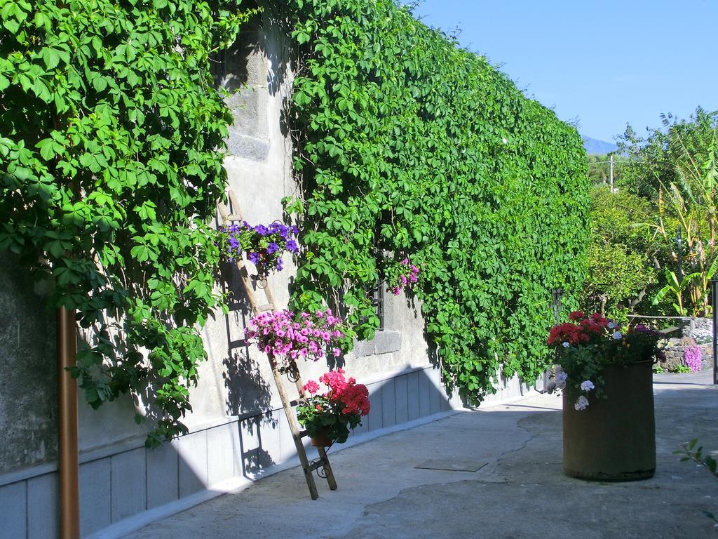 Villa Il Limoneto Acireale Extérieur photo