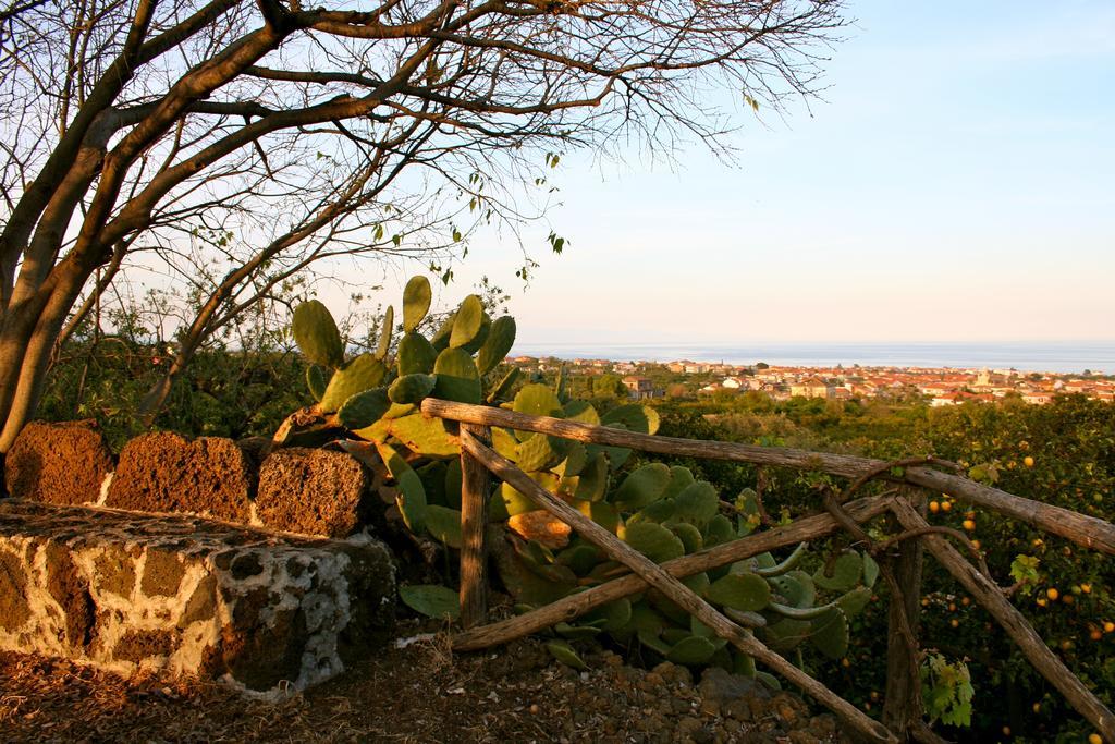 Villa Il Limoneto Acireale Extérieur photo