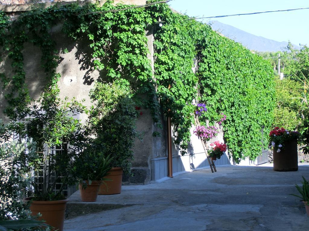 Villa Il Limoneto Acireale Extérieur photo